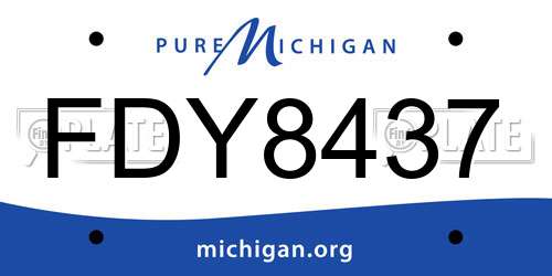 FDY8437 Michigan License Plate