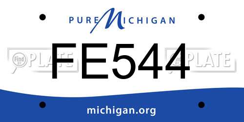 FE544 Michigan License Plate