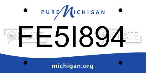 FE5I894 Michigan License Plate