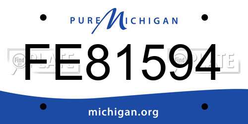 FE81594 Michigan License Plate