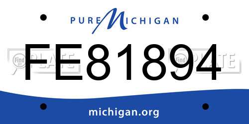 FE81894 Michigan License Plate