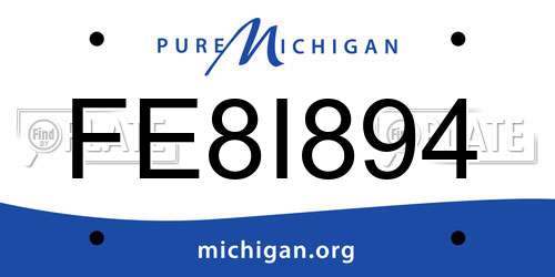 FE8I894 Michigan License Plate