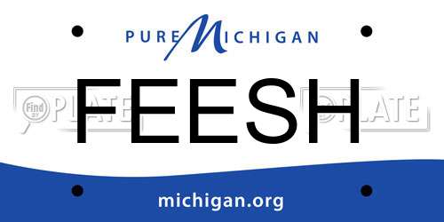 FEESH Michigan License Plate