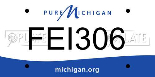 FEI306 Michigan License Plate