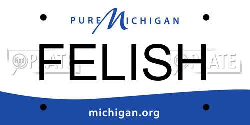 FELISH Michigan License Plate