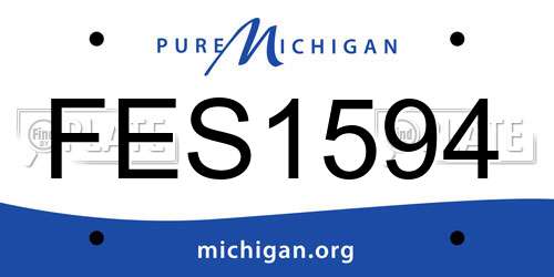 FES1594 Michigan License Plate