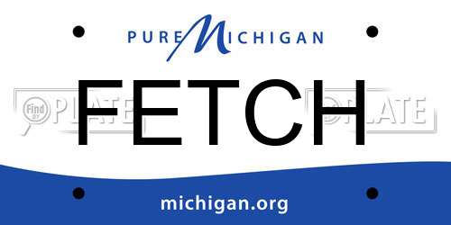 FETCH Michigan License Plate