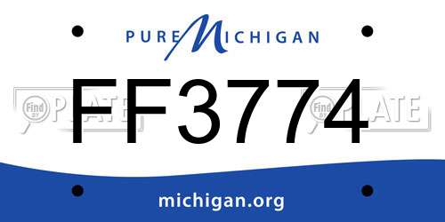 FF3774 Michigan License Plate