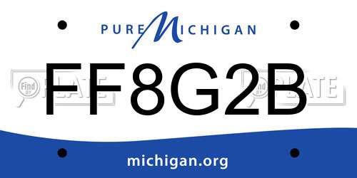 FF8G2B Michigan License Plate