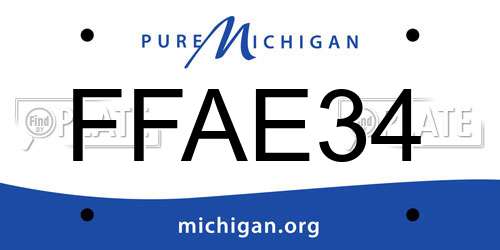FFAE34 Michigan License Plate
