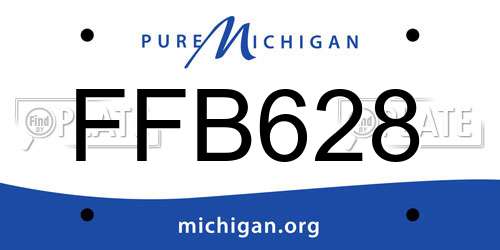 FFB628 Michigan License Plate