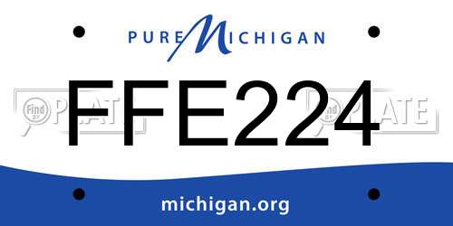 FFE224 Michigan License Plate