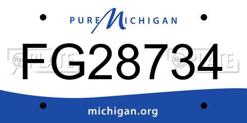 FG28734 Michigan License Plate