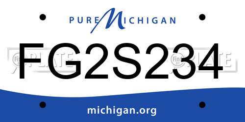 FG2S234 Michigan License Plate