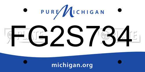 FG2S734 Michigan License Plate