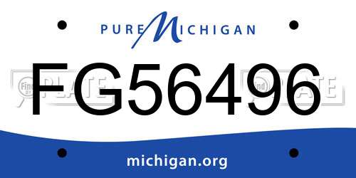 FG56496 Michigan License Plate