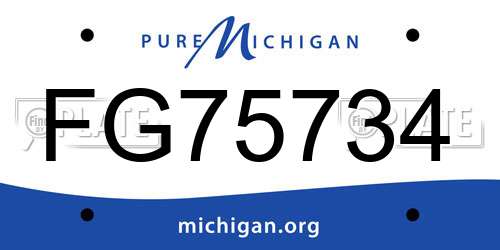 FG75734 Michigan License Plate