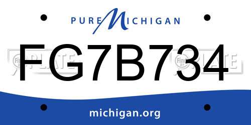 FG7B734 Michigan License Plate