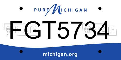 FGT5734 Michigan License Plate