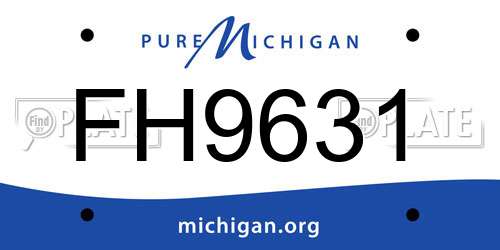 FH9631 Michigan License Plate