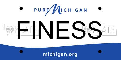 FINESS Michigan License Plate