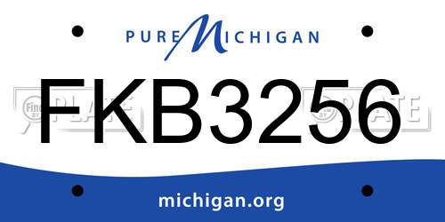 FKB3256 Michigan License Plate