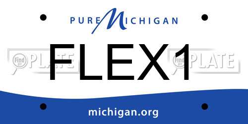 FLEX1 Michigan License Plate