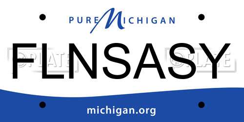 FLNSASY Michigan License Plate