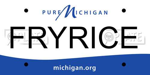 FRYRICE Michigan License Plate