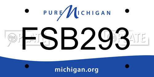FSB293 Michigan License Plate