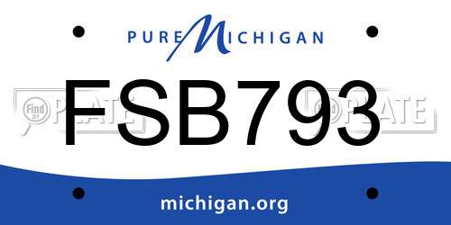 FSB793 Michigan License Plate