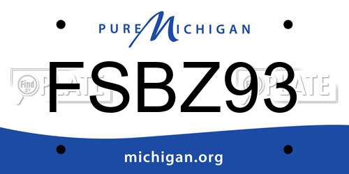 FSBZ93 Michigan License Plate