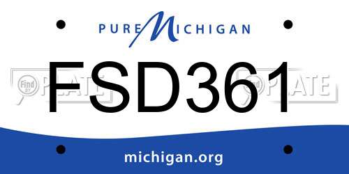 FSD361 Michigan License Plate