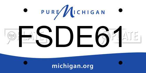 FSDE61 Michigan License Plate