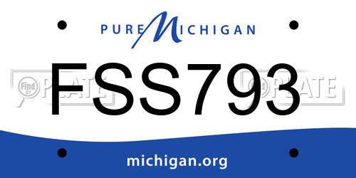 FSS793 Michigan License Plate