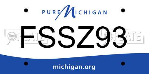 FSSZ93 Michigan License Plate