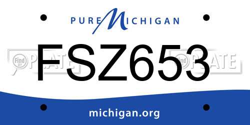 FSZ653 Michigan License Plate