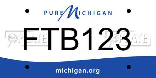 FTB123 Michigan License Plate