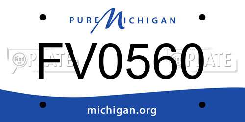 FV0560 Michigan License Plate