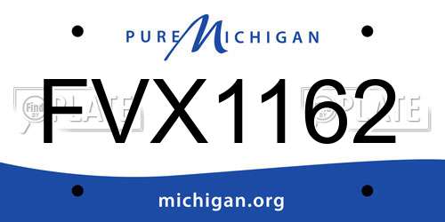 FVX1162 Michigan License Plate