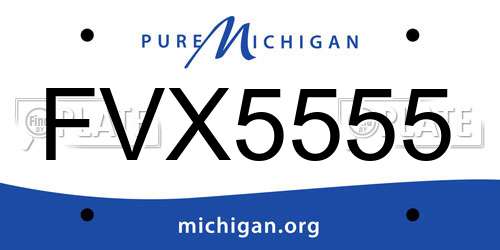 FVX5555 Michigan License Plate