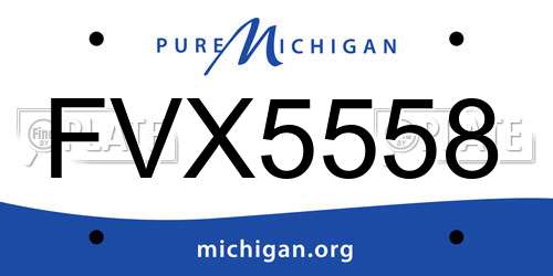 FVX5558 Michigan License Plate