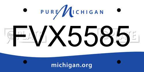 FVX5585 Michigan License Plate
