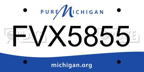 FVX5855 Michigan License Plate