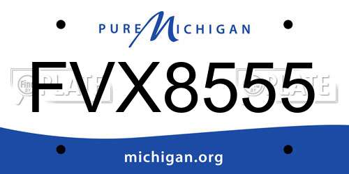 FVX8555 Michigan License Plate