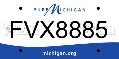 FVX8885 Michigan License Plate