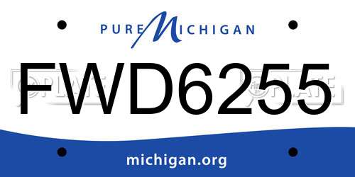 FWD6255 Michigan License Plate