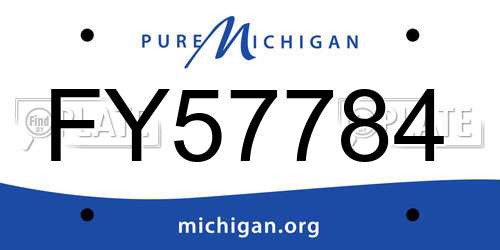 FY57784 Michigan License Plate