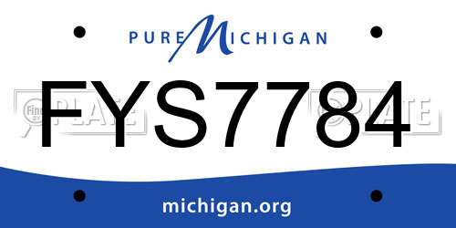 FYS7784 Michigan License Plate