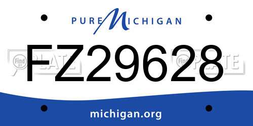 FZ29628 Michigan License Plate